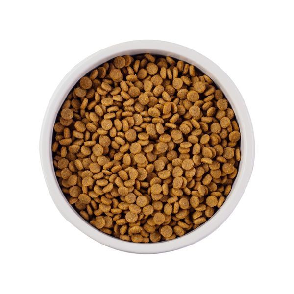 Nature's Protection Sterilised Junior Сухий корм для кошенят, що ростуть після стерилізації, 7 кг NPS45774 фото