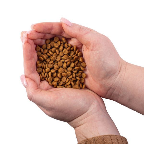 Nature's Protection Mini Junior Small Breeds Сухий корм для цуценят малих порід з м'ясом птиці, 18 кг NPB46026 фото