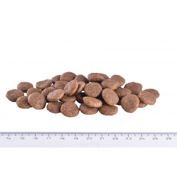 Корм сухий Brit Grain Free VetDiet Dog Renal для собак з нирковою недостатностью з яйцем горохом та гречкою 12 кг 170948/528189 фото