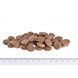 Корм сухий Brit Grain Free VetDiet Dog Renal для собак з нирковою недостатностью з яйцем горохом та гречкою 12 кг 170948/528189 фото 4