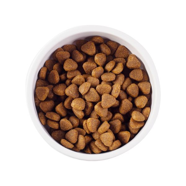 Nature's Protection Junior All Breeds Сухий корм для цуценят усіх порід з м'ясом птиці, 18 кг NPB46041 фото